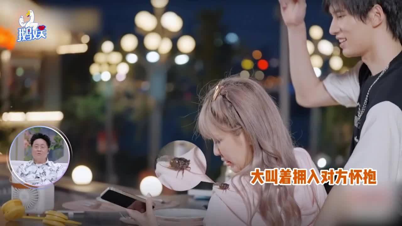 天鹅森林逃脱