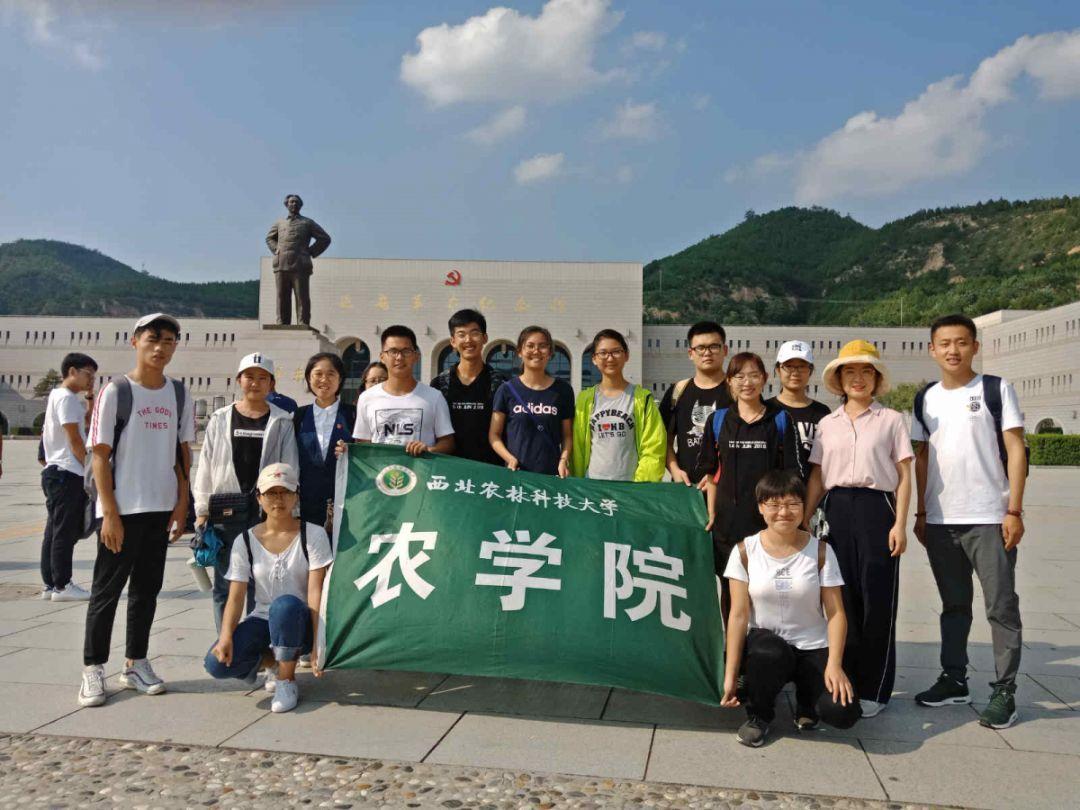 迷雾求生